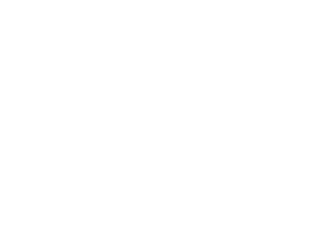 ZYLS